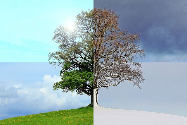Die Profis für das Gartenjahr